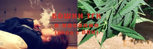 хмурый Магас