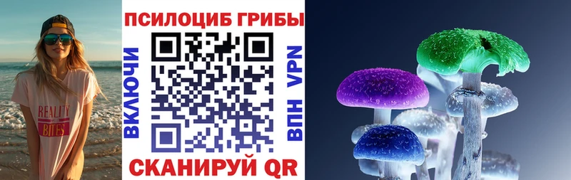 Галлюциногенные грибы Cubensis наркотики Рубцовск