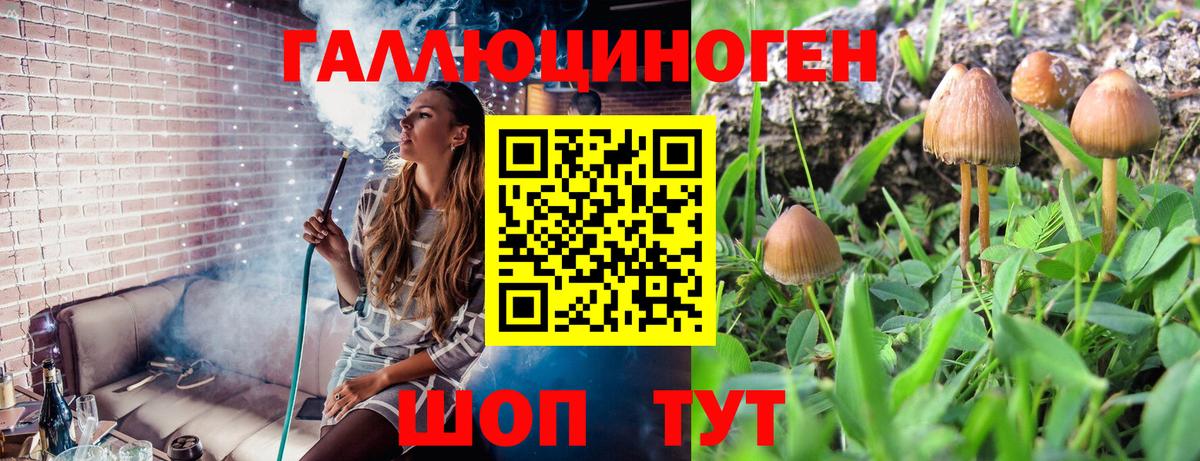 Рубцовск  Псилоцибиновые грибы мицелий  Вход с VPN 